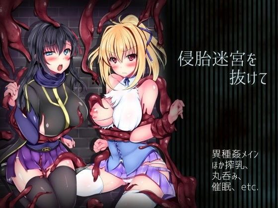 【無料で読める？】侵胎迷宮を抜けて｜d_084536
