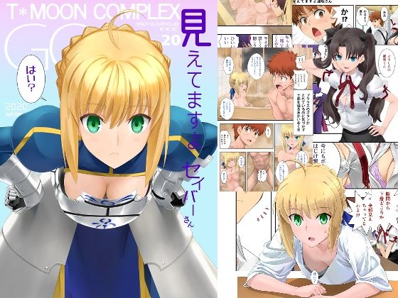 【無料で読める？】見えてますよセイバーさん｜d_274419