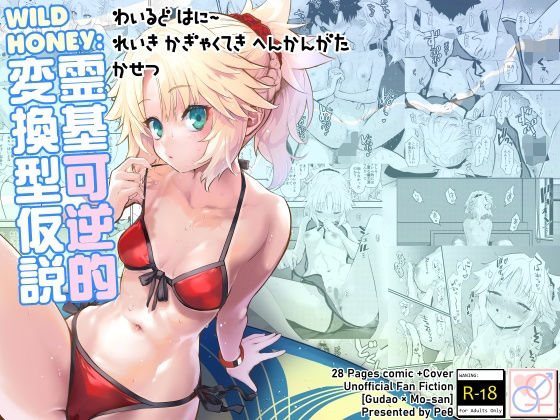 【無料で読める？】WILD HONEY:霊基可逆的変換型仮説｜d_286720