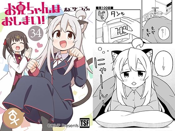 【無料で読める？】お兄ちゃんはおしまい！34｜d_648449