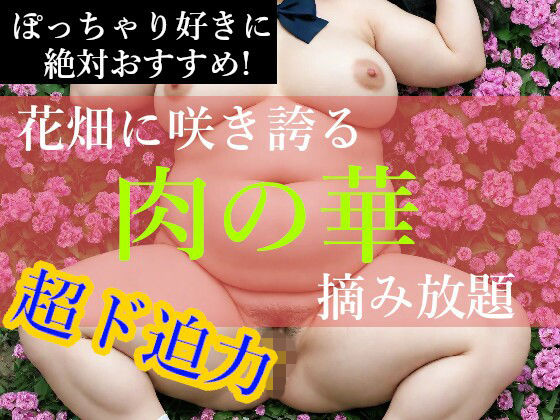 【無料で読める？】ぽっちゃり娘【肉の華】｜d_719267