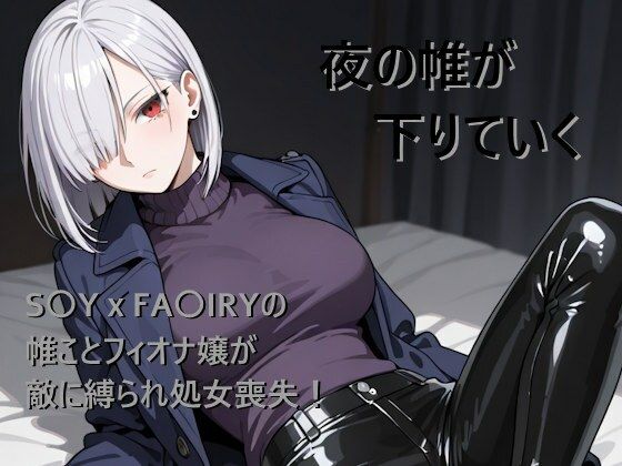 【無料で読める？】夜の帷が下りていく｜d_721511