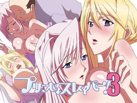 【無料で読める？】プリンセスレイパー3｜d_051030