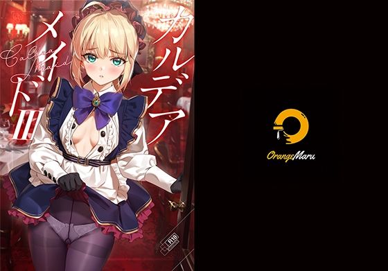 【無料で読める？】カルデアメイド3｜d_211313